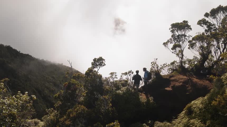 Hikers stand on a mountain ridge
