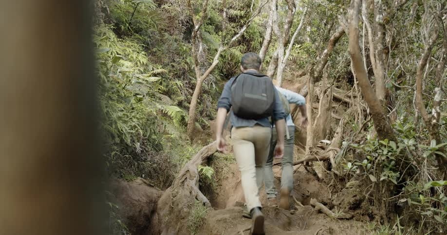 Two men hike in the woods wearing backpacks