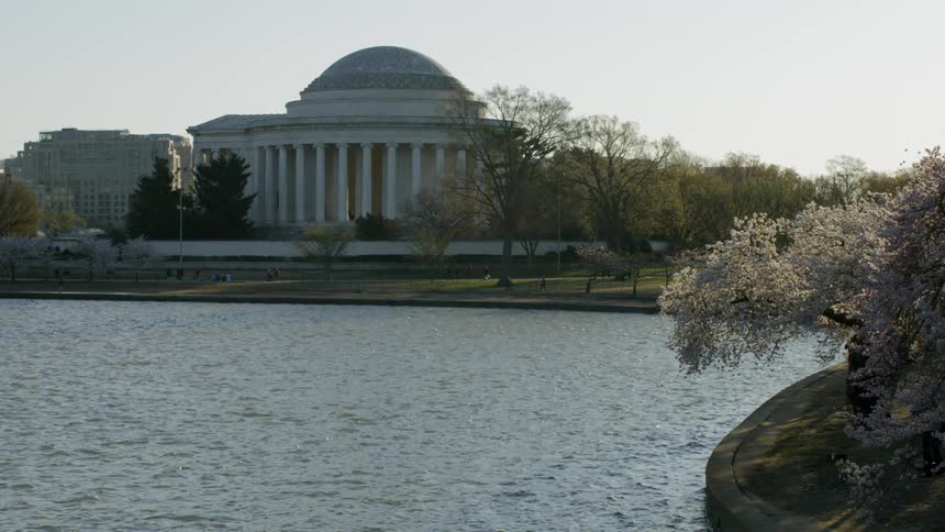 Water ripples in front of the jefferson memorial and cherry blossoms