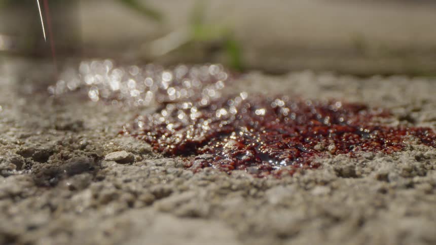 Various Macro Clips