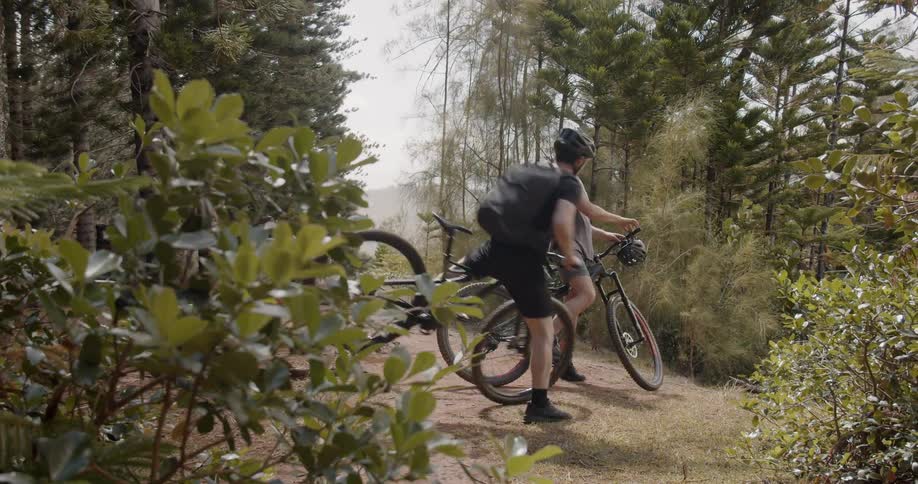 Two men bicycle in a forest