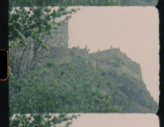 Trees grow near a stone castle
