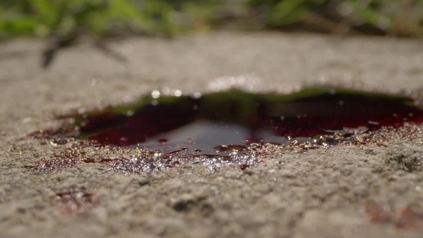 Blood drips onto the ground