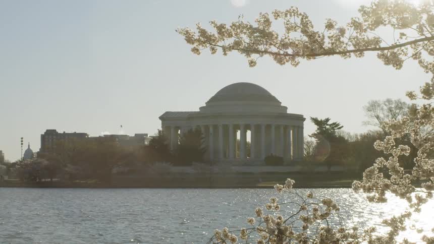 Water and cherry blossoms in front of the thomas jefferson memorial