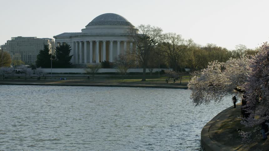 Cherry Blossoms and the Jefferson Memorial beside Tidal Basin water