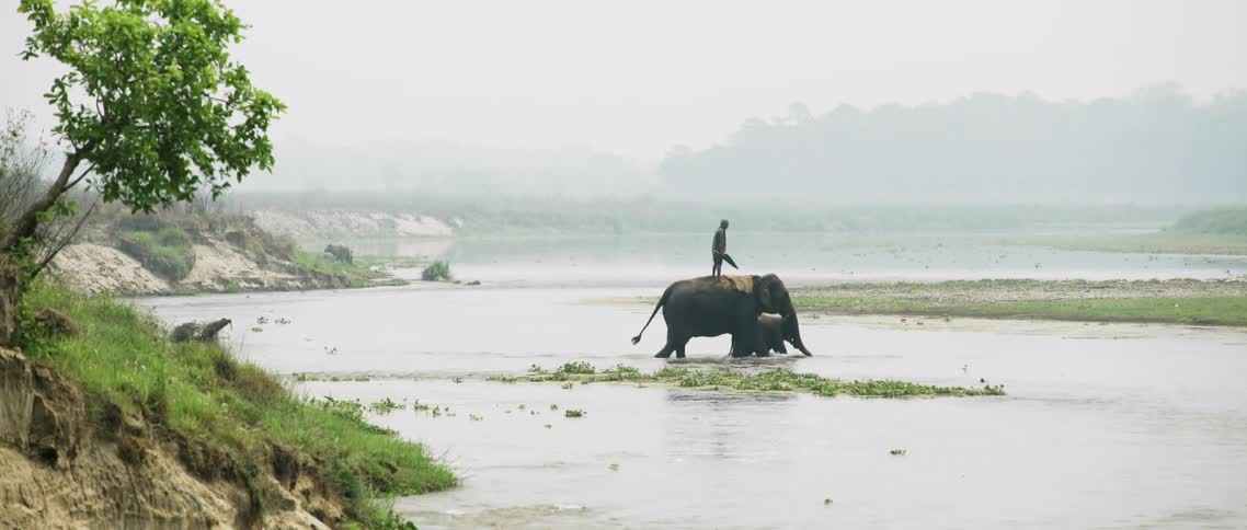 A person stands on an elephant's back while crossing a body of water
