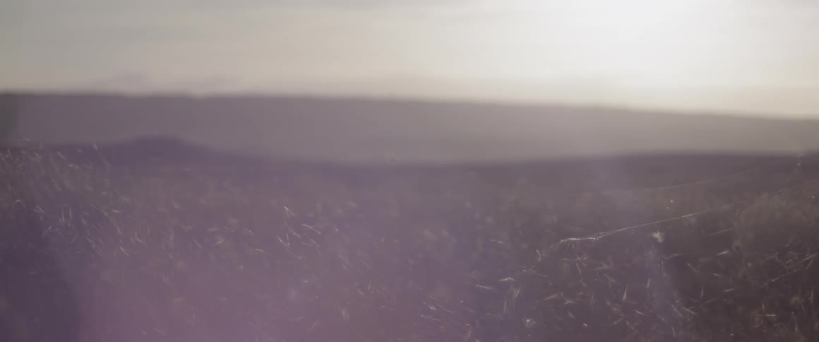 Sunlight shines on grass in a rural field