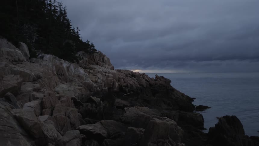 A beach with trees and boulders on a cloudy day