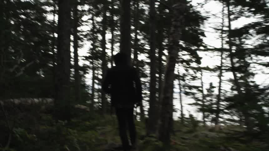 Someone follows a person in a hoodie as they run through the forest