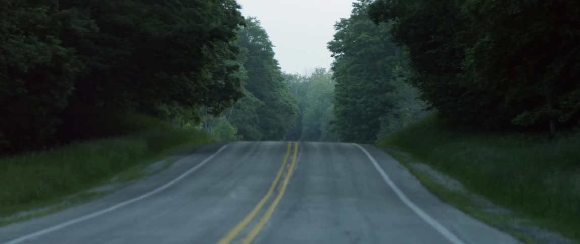 Highway road surrounded by trees on overcast day