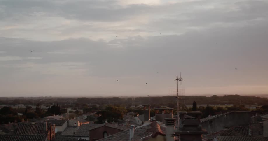 Birds fly over the city under a cloudy sky