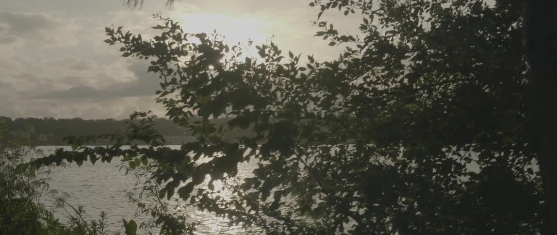 Trees sit next to the lake under the cloudy sky