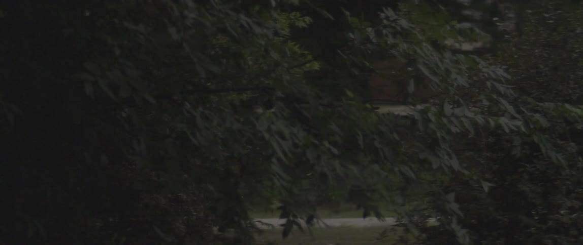 A man jogs behind trees