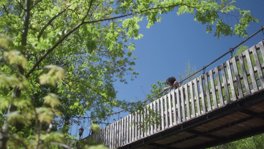 A woman leans on a wooden bridge