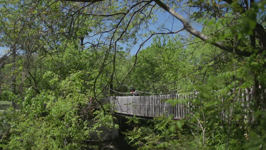 Woman looks out over a wooden bridge under a blue sky