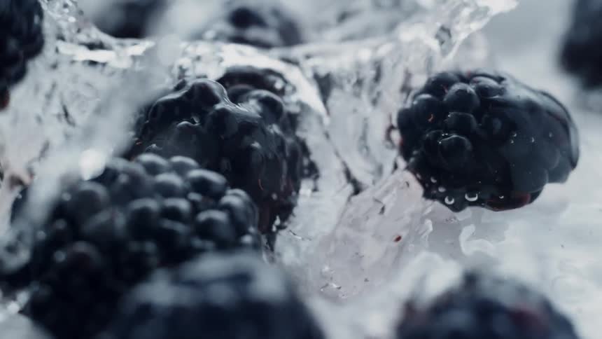 Black berries splash in the water