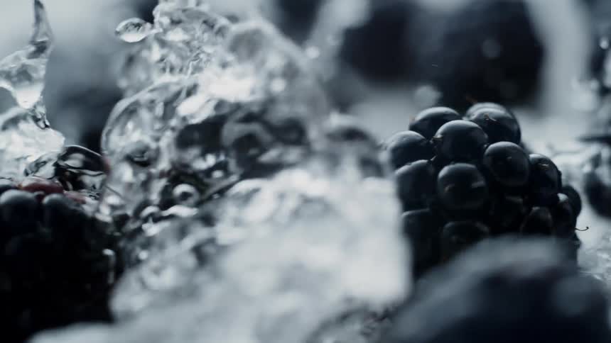 Water splashing over fresh blackberries