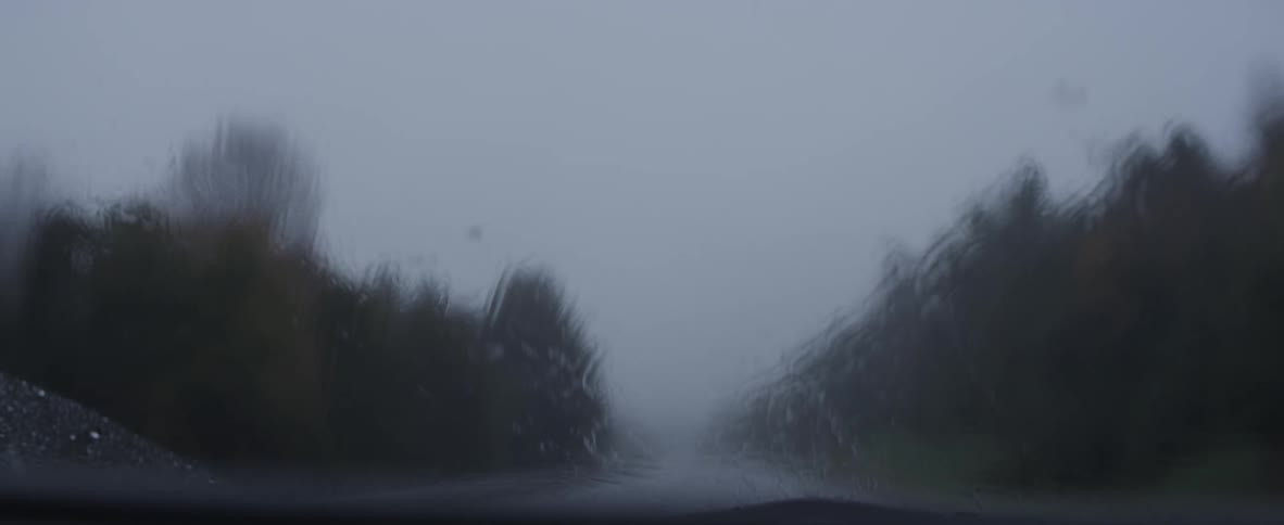 It rains on a car windshield in the forest