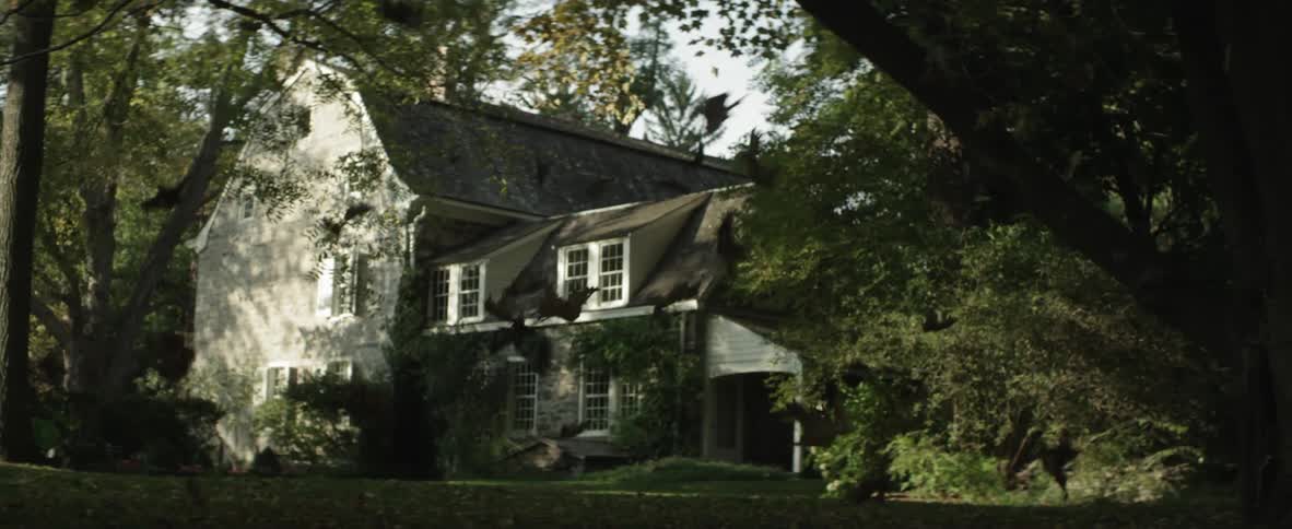Leave fall in front of a large house