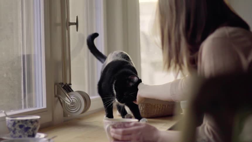 A woman pets a black cat by the windows