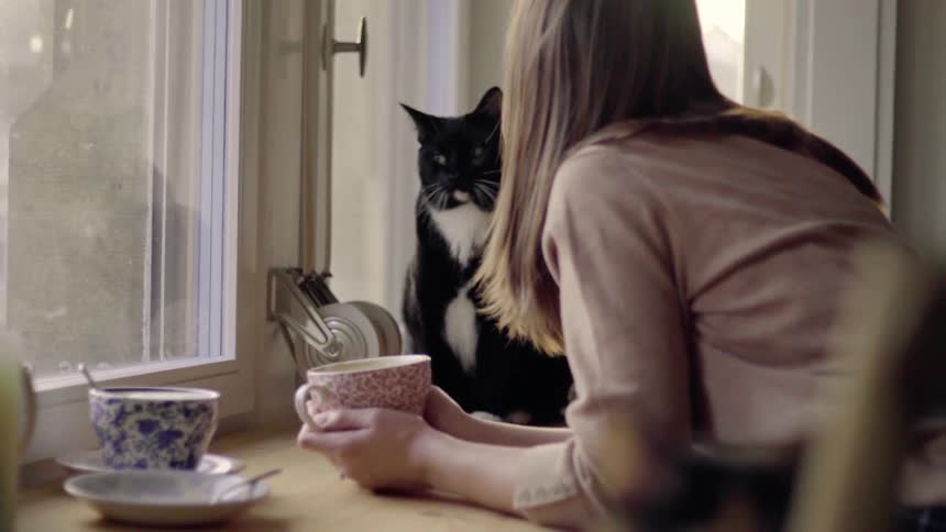 A woman holds a coffee cup and talks to a cat
