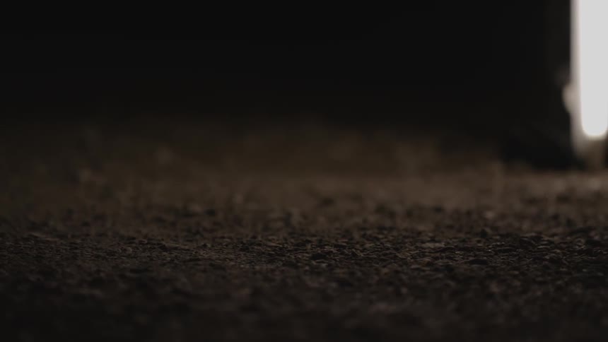 Dirt sits undisturbed on the ground