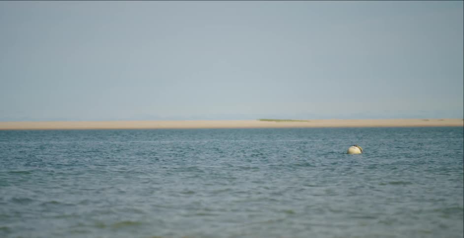 A body of water waving and moving