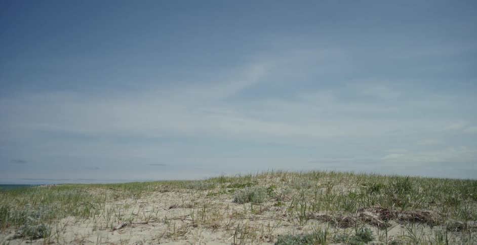 Wind blows on a grassy hill