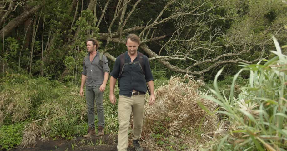 Two men walk through the woods on a windy day