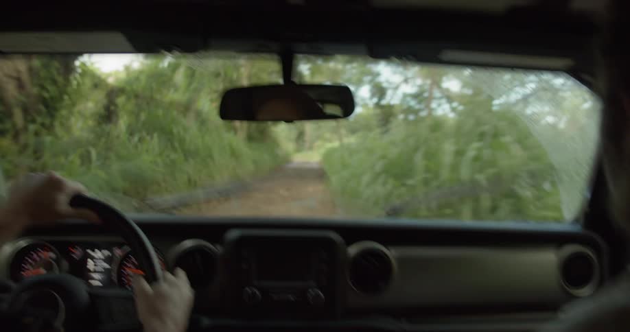 A man drives a truck through the brush