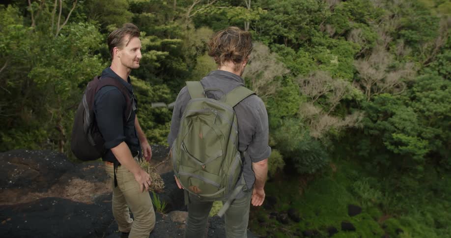 Two men are taking in a canyon view on a windy day