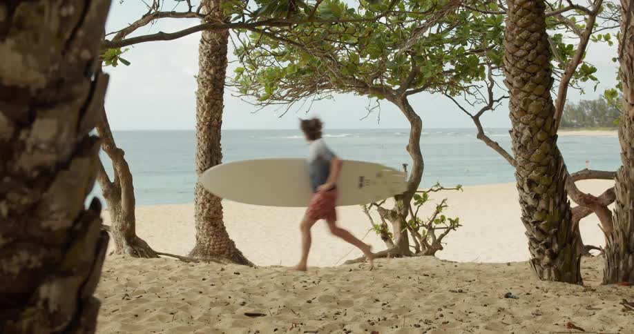 Friends Traveling In Hawaii