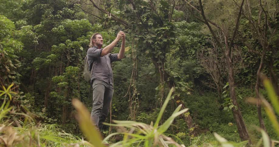 Man standing in jungle wilderness is taking a photograph