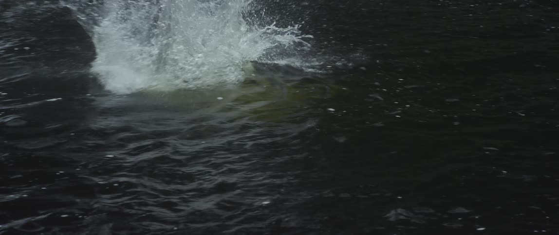 People jumping off of a cliff