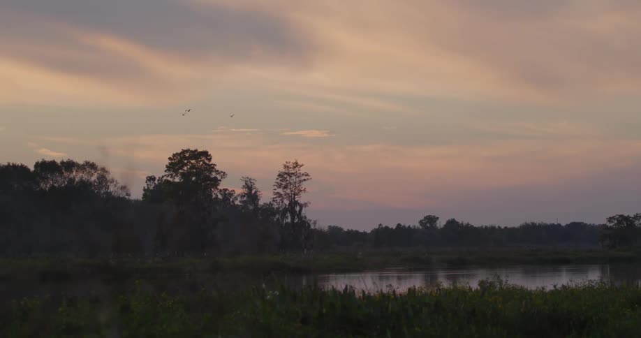 Birds fly over a rural lake at sunset