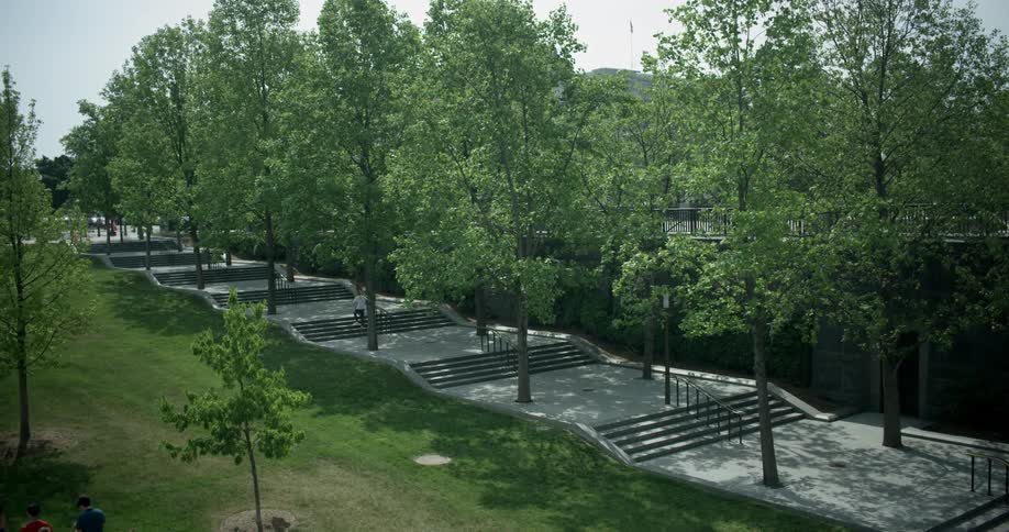 Woman walks up sets of steps near the trees