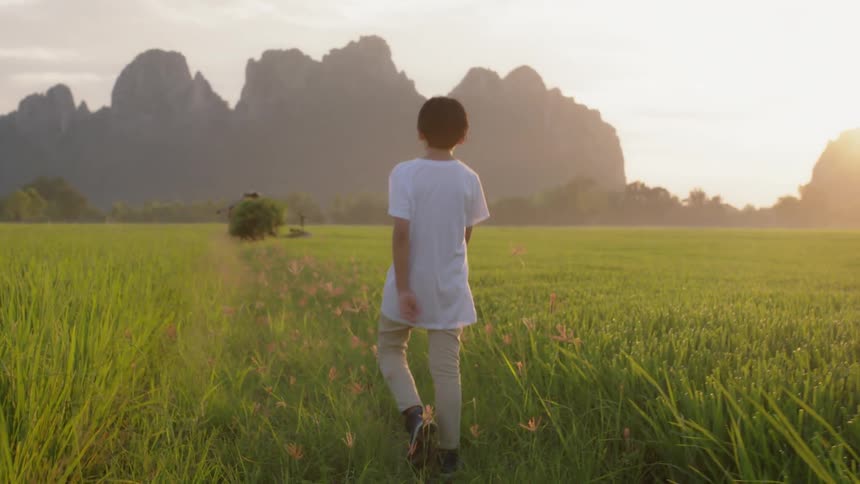 A child walks past the flowers on a field