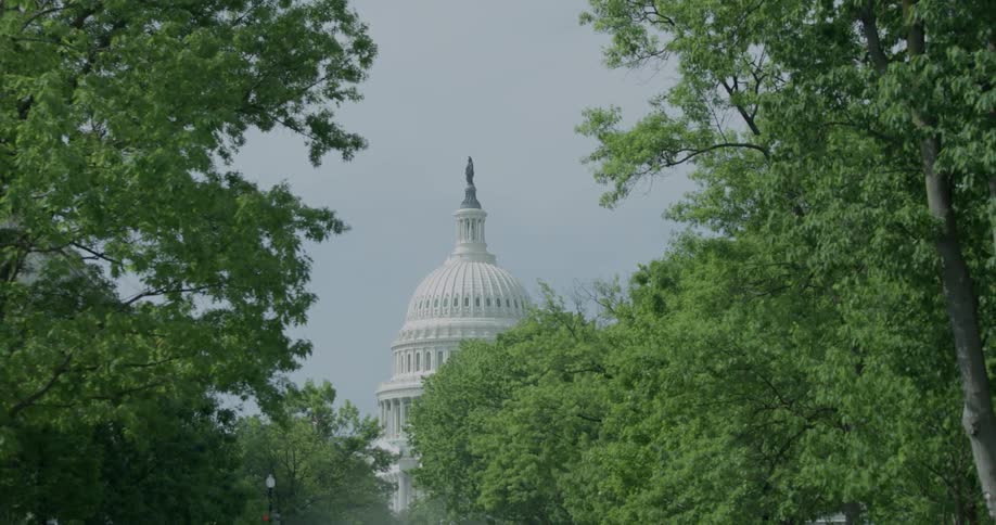 The trees are covering most of the capitol hill building
