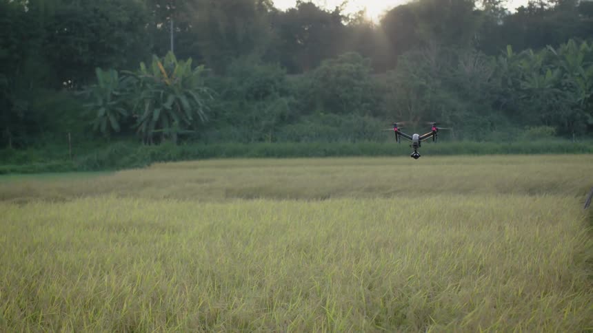 A drone flies just above the grass