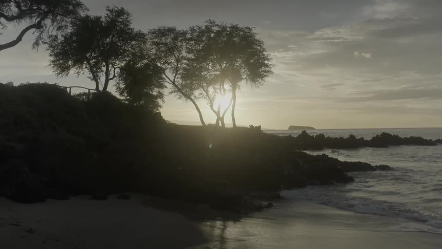 Waves crash ashore as the sun shines through trees