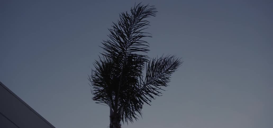 The wind blows the tree near the house