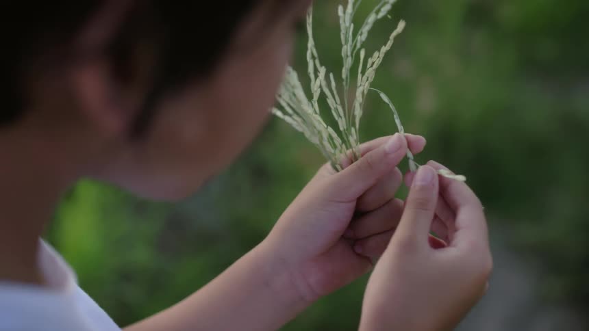 A boy is holding a bunch of grass in his hands