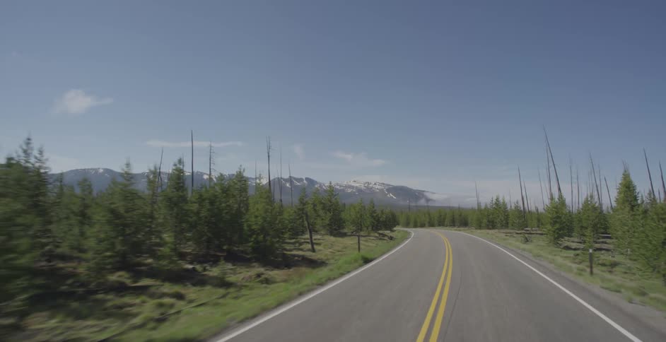 Driving down a counrty road