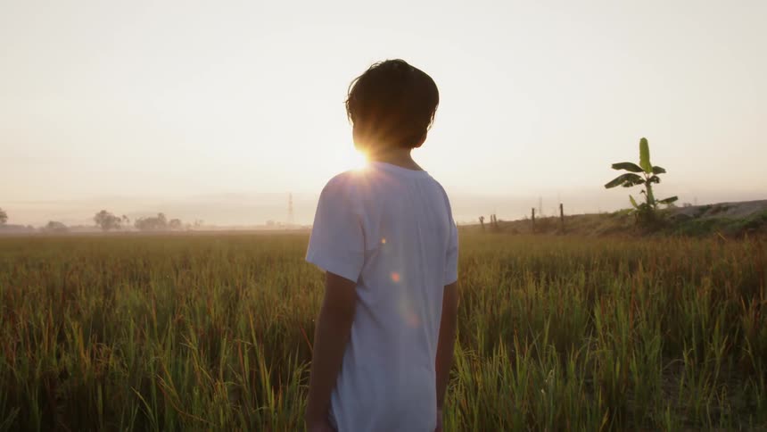 A boy stands in the tall grass at sunset
