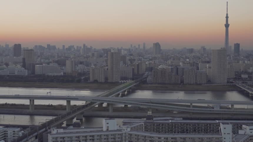 The Tokyo city skyline at sunset