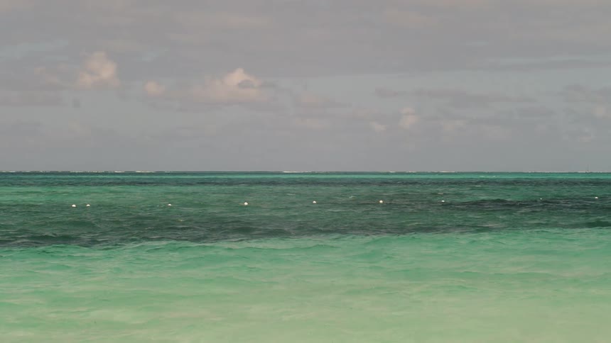The ocean waters flow by the shore