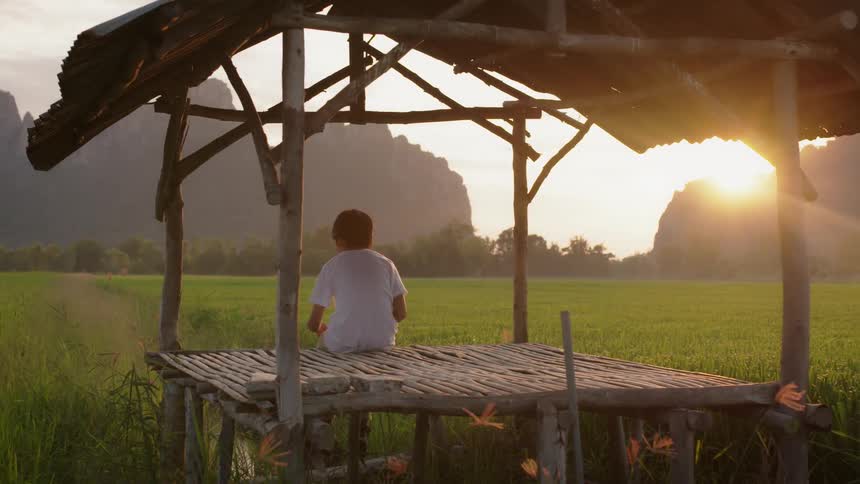 Young boy sits on a platform near a field