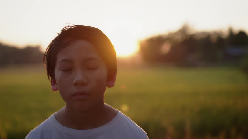 Young boy stands in a field with the bright sun behind him