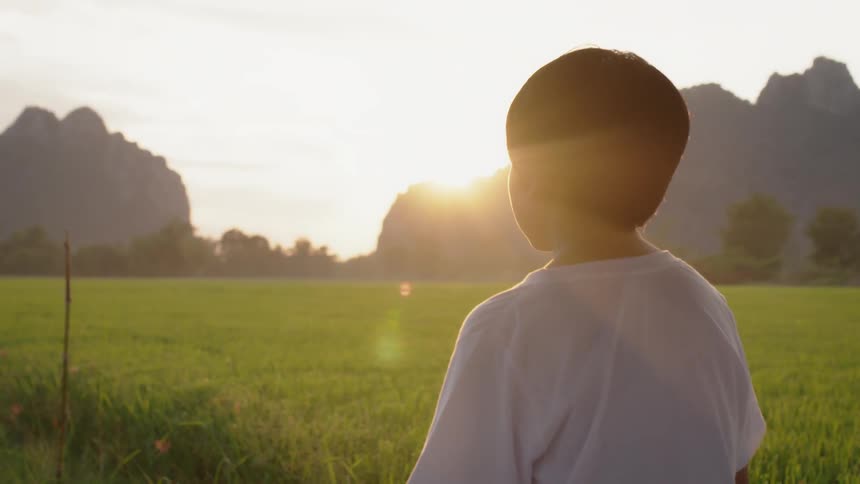 A child looks out over the tall grass