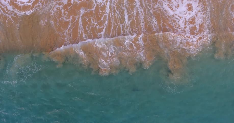 Overhead view of clear water coming ashore